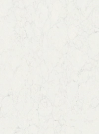 Calacatt Adaina stone sample