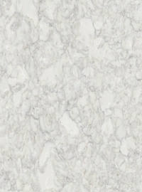 Calacatta Ocelio stone sample