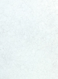 Carrara Trinita stone sample
