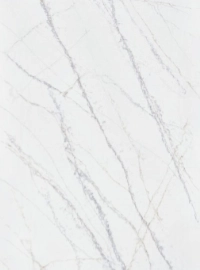 Estate Quartzite stone sample